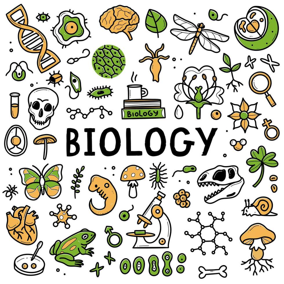 banner-logo